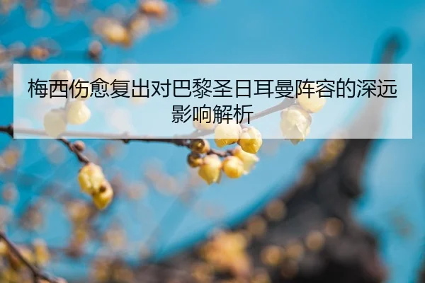 mei-xi-shang-yu-fu-chu-dui-ba-li-sheng-ri-er-man-zhen-rong-de-shen-yuan-ying-xiang-jie-xi-2-641.jpg