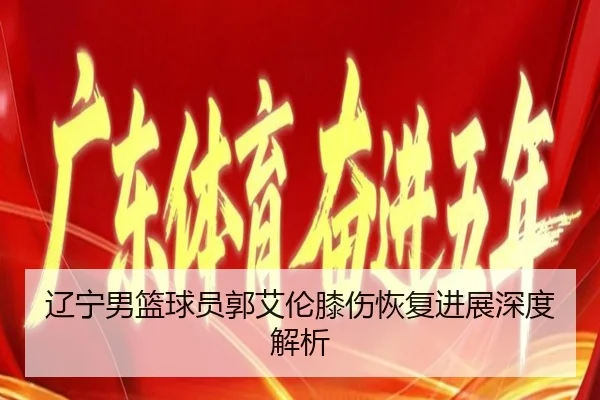 liao-ning-nan-lan-qiu-yuan-guo-ai-lun-xi-shang-hui-fu-jin-zhan-shen-du-jie-xi-2-482.jpg